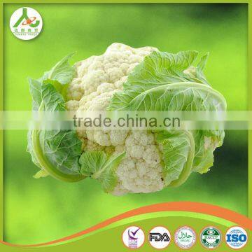 New Crop Grade A Fresh Cauliflower photo-6