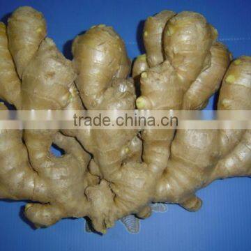 Fresh air dried ginger