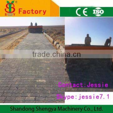Tiger paving stone making machine China shengya supplier