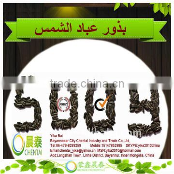 Chinese Sunflower Seed