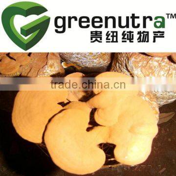 Ganoderma spore powder