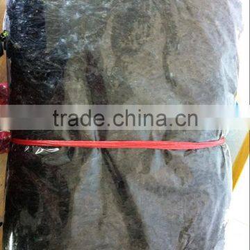 Health Seafood Red Alage Dried Laver Seaweed Porphyra Haitanensis