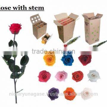 Pretty and Cute Real Touch Hydrangea Preserved Flowers With Various Species