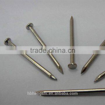 Various Specification Nail/smooth Nail/common Wire Nail photo-4