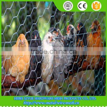 hot galvanized chicken coop hexagonal wire mesh wholesale prices