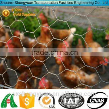 Diamond-shaped steel wire mesh chicken cages