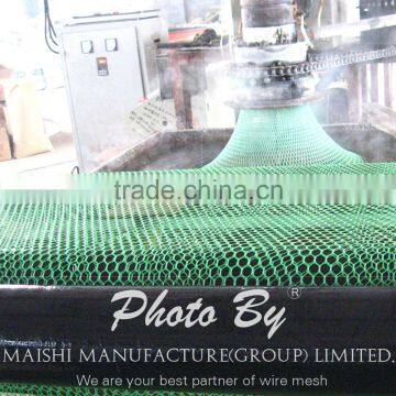 Extruded pe Mesh Netting photo-5