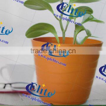 interior decorative pots