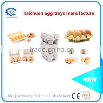 Paper Mold Pulp Egg Tray Packaging photo-6