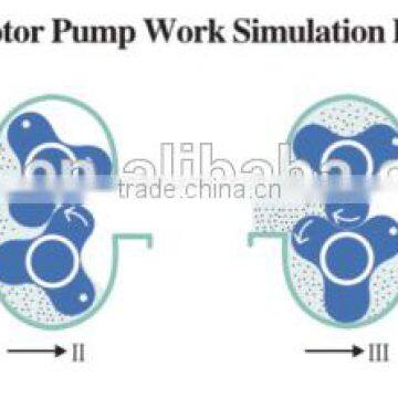 Rotary Lobe Pump/rotor Pump photo-5