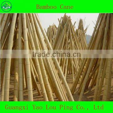 BP-12 Wholesale Construction Hollow Bamboo Poles