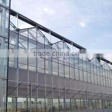 Glass Greenhouse-5
