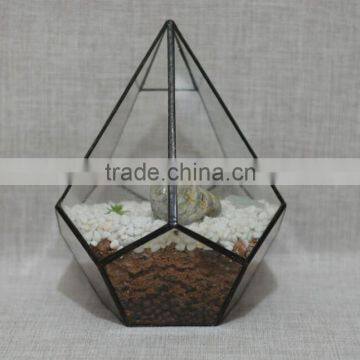 Micro Landscape Decor Handblown Clear Irregular Geometric Glass Terrarium photo-2