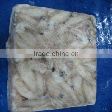 Hot Sale Whole Round Frozen Baby Squid photo-2