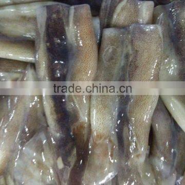 Frozen Illex Squid Tube photo-3