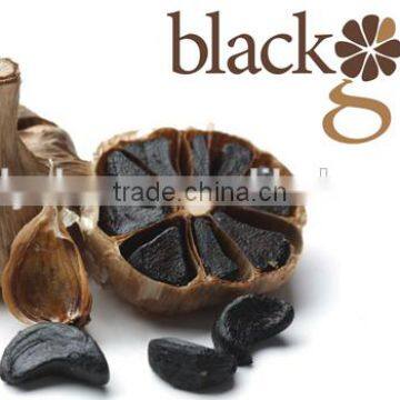 Factary Make Free Sample Black Garlic On Sale