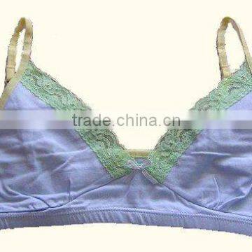 sexy and fashion ladies bra undergarments