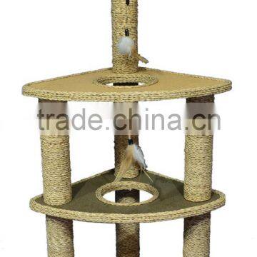 China Factory Cat Climbing Tree photo-3