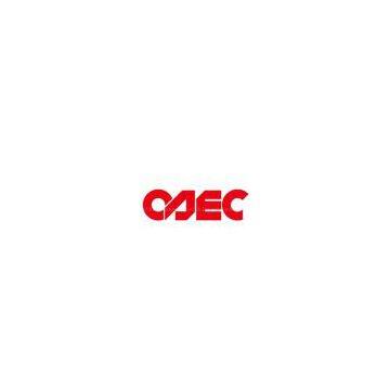 China Abrasives Corp.(SIC)