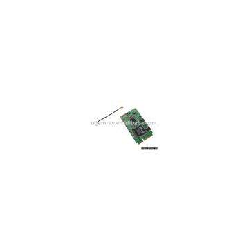 Wireless + bluetooth module