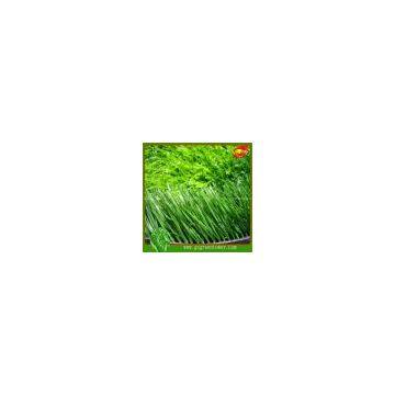 Football Artificial Grass, Leisure Artificial Turf photo-2