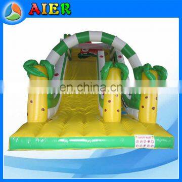 Commercial grade tiger inflatable dry slide