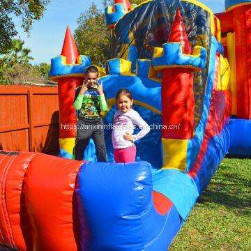 Customized Inflatable Royal Bouncy Castle With Slide for Sale photo-3