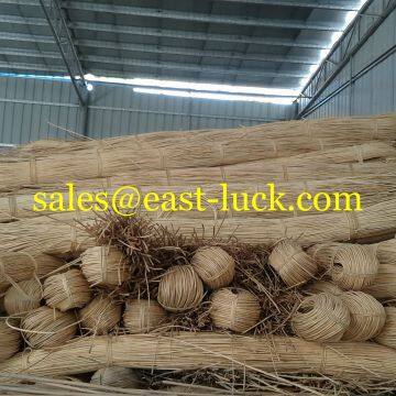 Rattan Cane