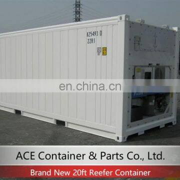 ISO Daikin 20ft 40ft Reefer Container Price for Sale