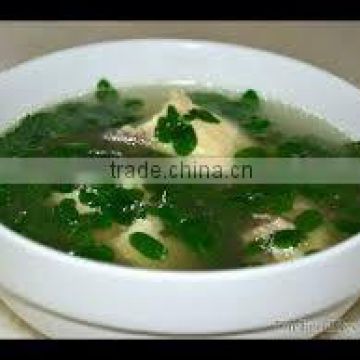 Superior Grade Moringa Soup for sales