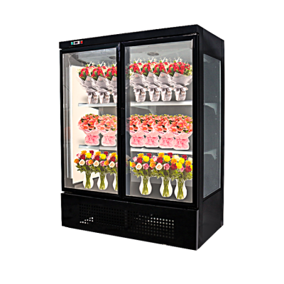 Low Energy Commercial Chiller Flower Shop Display Flowers Chiller Sold in India photo-5