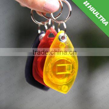 Transparent Visible Chip Keytag