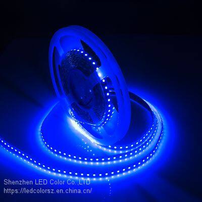 Blue Color Led Strip 120leds Dc24v Flexible Non Waterproof LED Strip photo-5