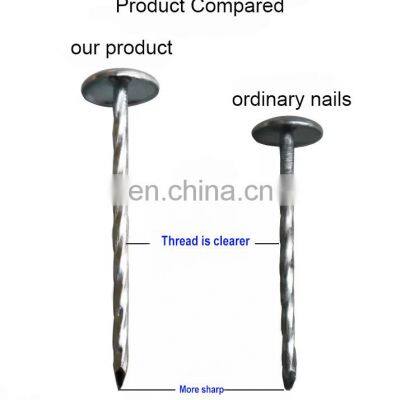 Common Iron Nails With Brand Topcreation in Ningbo China photo-5