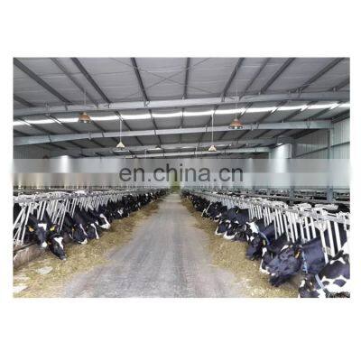 China Cheap Prefab Steel Structure Building Dairy Cow Farm Shed