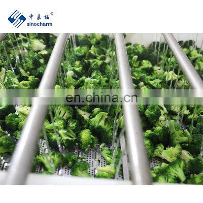 BRC High Quality  IQF Vegetables for Frozen Broccoli Cuts