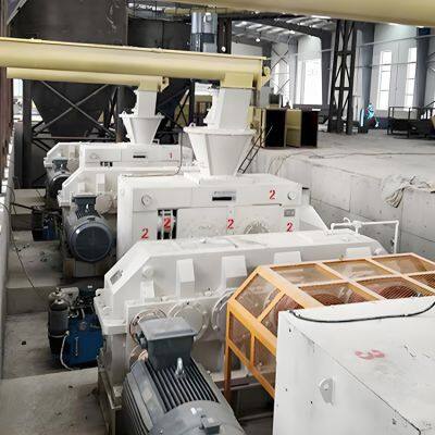 Iron Powder Hot Roller Press Grinding Machine Ash Degreasing and Pressing Equipment Particle Steel Hot Briquetting Equipment photo-2