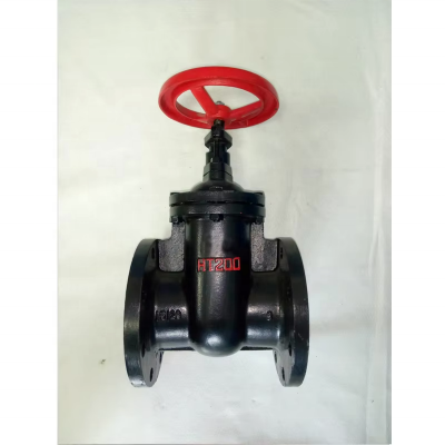 BS DN100 DN150 PN16 Gray Cast Iron HT200 Ductile Iron Flange Gate Valve photo-2