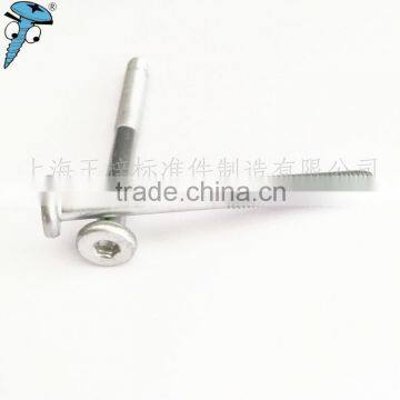 China Supplier Manufacture Special Socket Cap Bolt photo-3