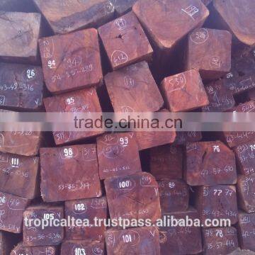 round logs Cam xe Pyinkado Cambodia wood