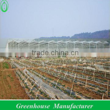 High Quality 10mm Polycarbonate Greenhouse