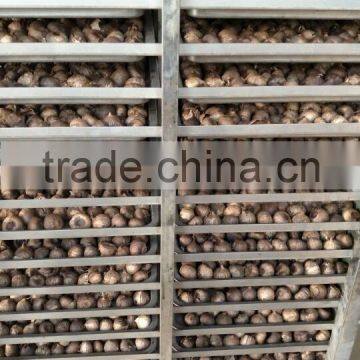 High Temperature Humidity Black Garlic Climatic Chamber Price photo-5