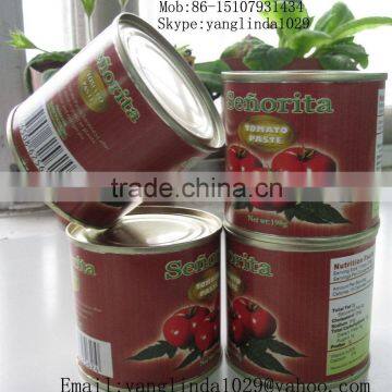 Sell 210gm canned tomato paste