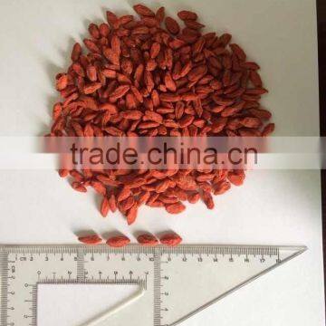 2015 ningxia Goji Berry 350