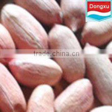 good quality peanut 24/28
