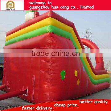 2016 China Popular Crocodile Mouth Inflatable Slide,commercial Large Inflatable Slide H2-2222 photo-4