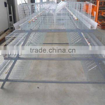 Wholesale Galvanized Layer Chicken Cages/Battery Cage photo-4