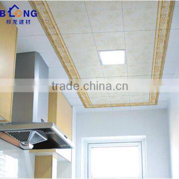 2016 New Decorative Metal Strip Ceiling Tiles in Living Room