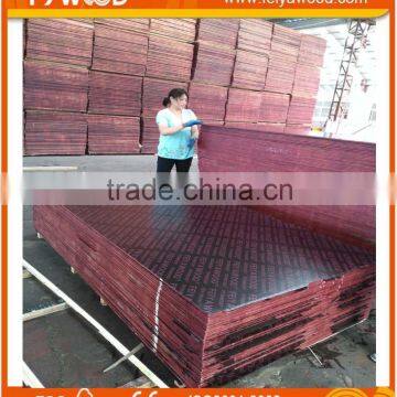 Export Maldives Film Faced Plywood photo-5