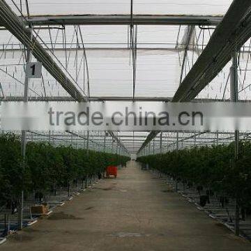 Red Color Fresh Tomato From Turkey photo-6